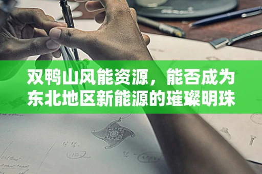 双鸭山风能资源，能否成为东北地区新能源的璀璨明珠？