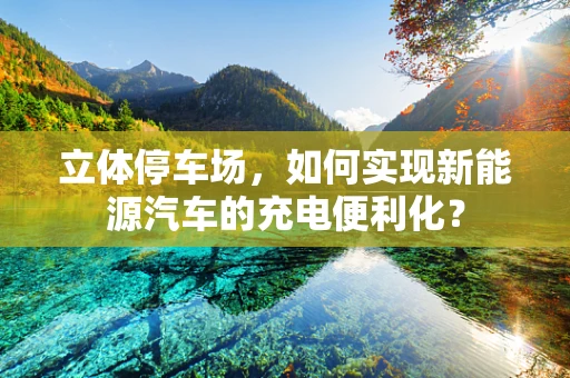 立体停车场，如何实现新能源汽车的充电便利化？