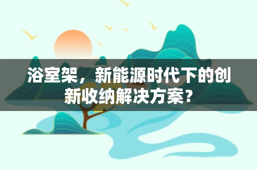 浴室架，新能源时代下的创新收纳解决方案？