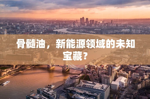 骨髓油，新能源领域的未知宝藏？