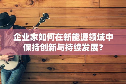 企业家如何在新能源领域中保持创新与持续发展？