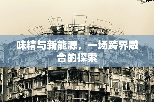 味精与新能源，一场跨界融合的探索