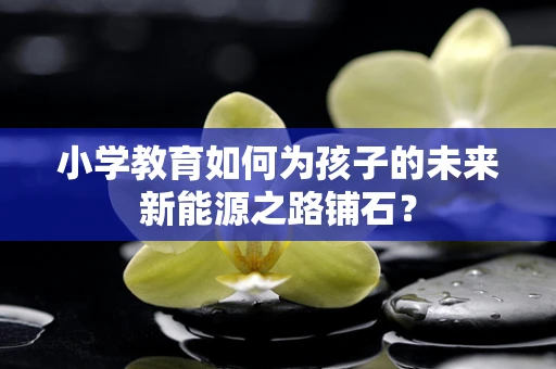 小学教育如何为孩子的未来新能源之路铺石？