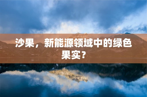 沙果，新能源领域中的绿色果实？