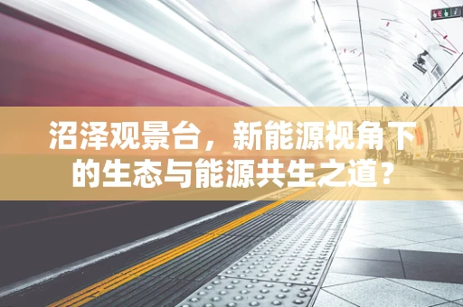 沼泽观景台，新能源视角下的生态与能源共生之道？