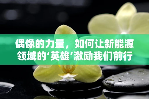 偶像的力量，如何让新能源领域的‘英雄’激励我们前行？