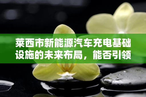 莱西市新能源汽车充电基础设施的未来布局，能否引领绿色出行新风尚？