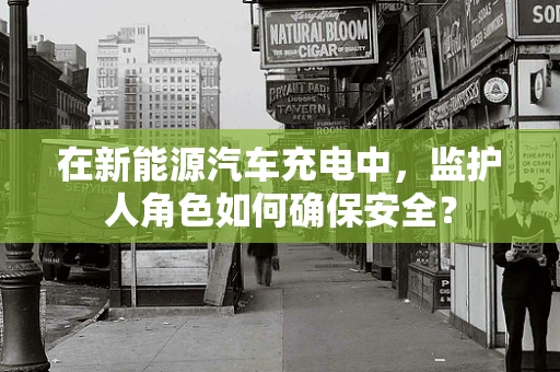 在新能源汽车充电中，监护人角色如何确保安全？