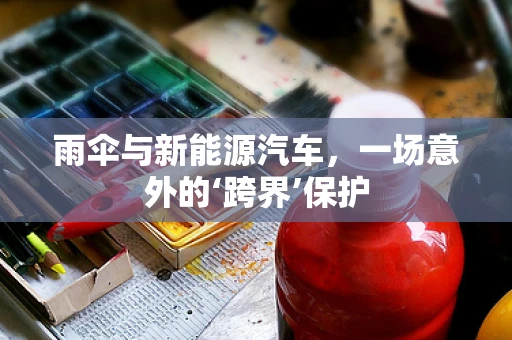 雨伞与新能源汽车，一场意外的‘跨界’保护