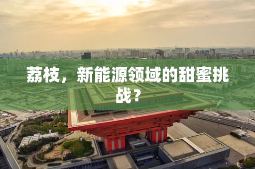 荔枝，新能源领域的甜蜜挑战？