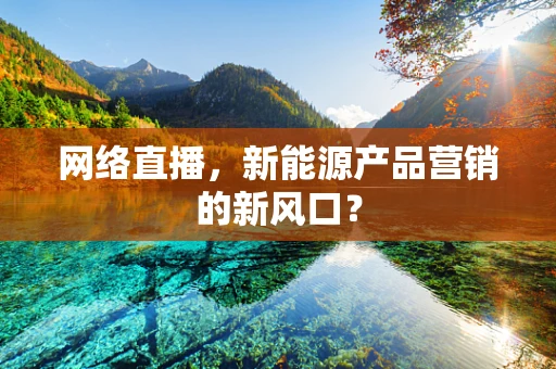 网络直播，新能源产品营销的新风口？