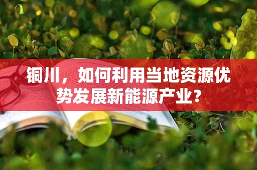 铜川，如何利用当地资源优势发展新能源产业？