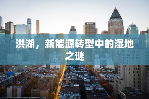 洪湖，新能源转型中的湿地之谜