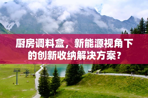 厨房调料盒，新能源视角下的创新收纳解决方案？