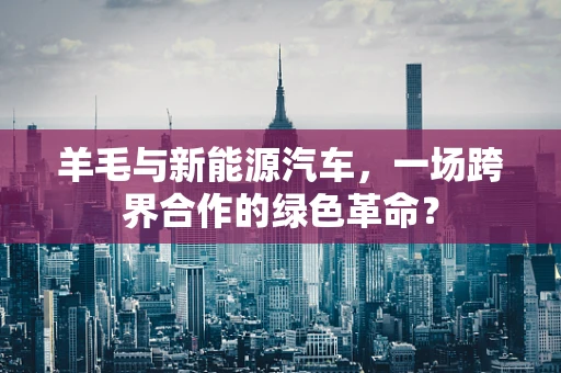 羊毛与新能源汽车，一场跨界合作的绿色革命？