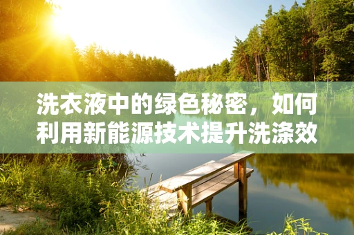 洗衣液中的绿色秘密，如何利用新能源技术提升洗涤效果？