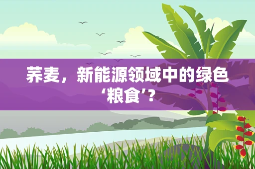 荞麦，新能源领域中的绿色‘粮食’？