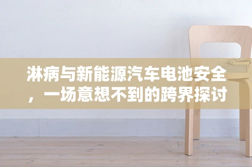 淋病与新能源汽车电池安全，一场意想不到的跨界探讨