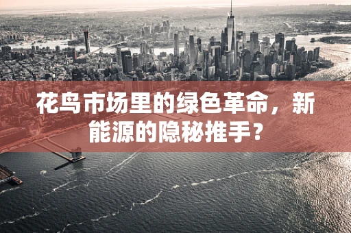 花鸟市场里的绿色革命，新能源的隐秘推手？