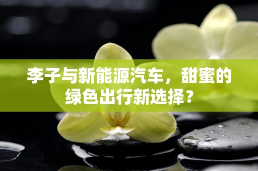 李子与新能源汽车，甜蜜的绿色出行新选择？
