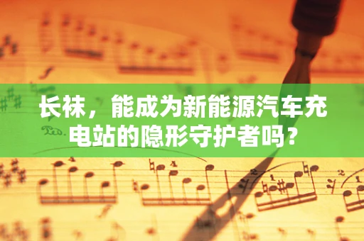 长袜，能成为新能源汽车充电站的隐形守护者吗？