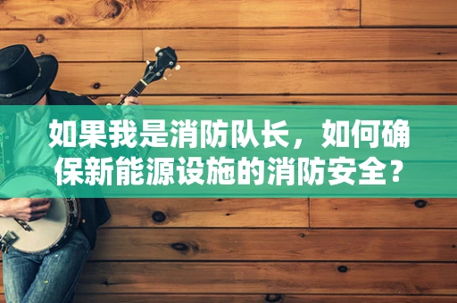 如果我是消防队长，如何确保新能源设施的消防安全？