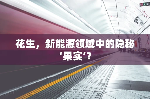 花生，新能源领域中的隐秘‘果实’？
