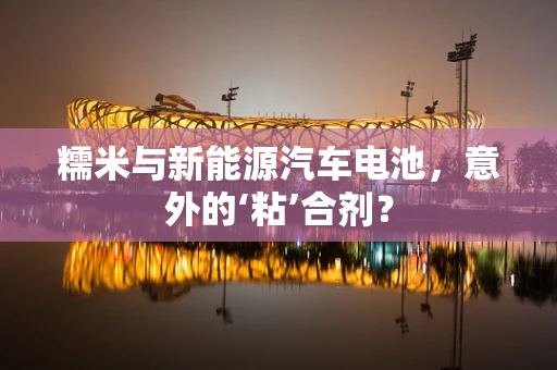 糯米与新能源汽车电池，意外的‘粘’合剂？