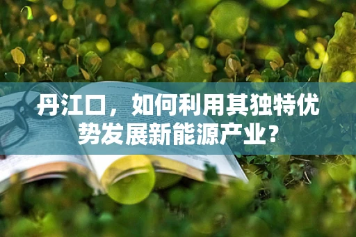 丹江口，如何利用其独特优势发展新能源产业？