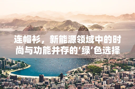 连帽衫，新能源领域中的时尚与功能并存的‘绿’色选择？