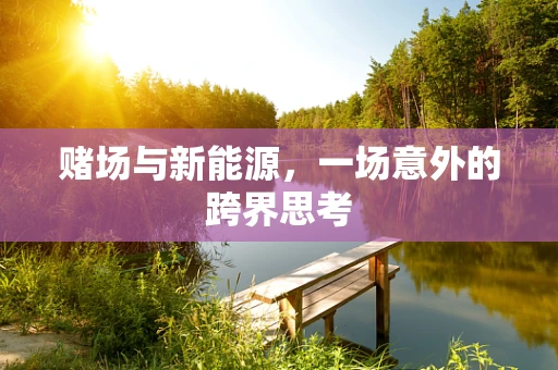 赌场与新能源，一场意外的跨界思考