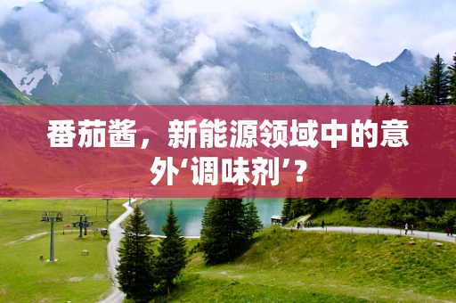 番茄酱，新能源领域中的意外‘调味剂’？