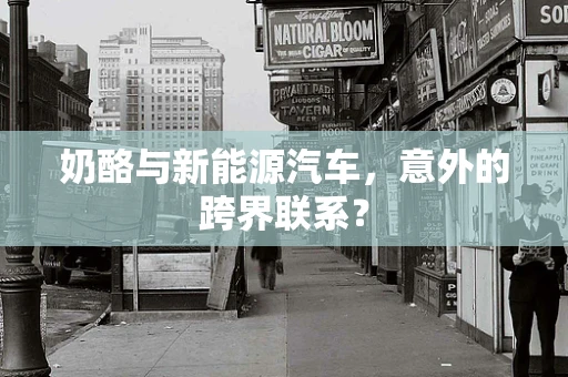 奶酪与新能源汽车，意外的跨界联系？