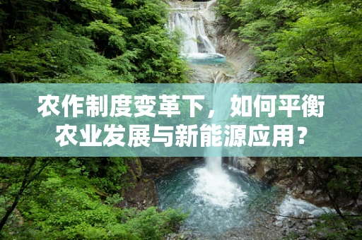 农作制度变革下，如何平衡农业发展与新能源应用？