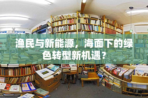 渔民与新能源，海面下的绿色转型新机遇？