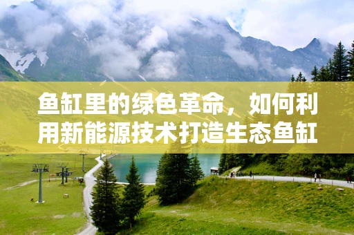 鱼缸里的绿色革命，如何利用新能源技术打造生态鱼缸？