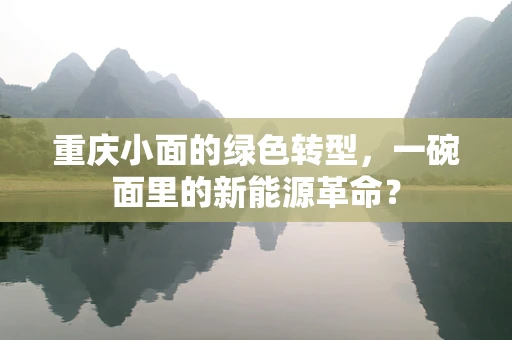 重庆小面的绿色转型，一碗面里的新能源革命？