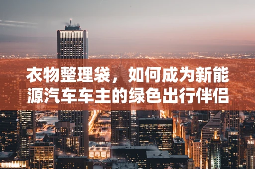 衣物整理袋，如何成为新能源汽车车主的绿色出行伴侣？