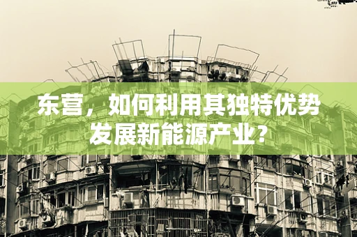 东营，如何利用其独特优势发展新能源产业？