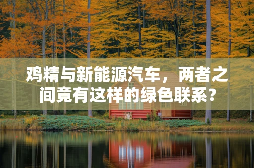 鸡精与新能源汽车，两者之间竟有这样的绿色联系？