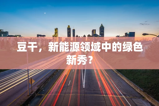 豆干，新能源领域中的绿色新秀？