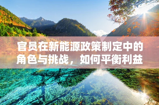 官员在新能源政策制定中的角色与挑战，如何平衡利益与公众期望？