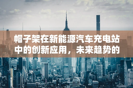 帽子架在新能源汽车充电站中的创新应用，未来趋势的微小却关键一环？