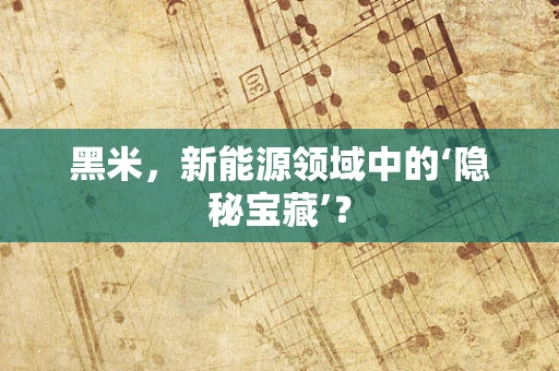 黑米，新能源领域中的‘隐秘宝藏’？
