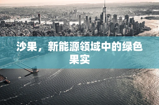 沙果，新能源领域中的绿色果实