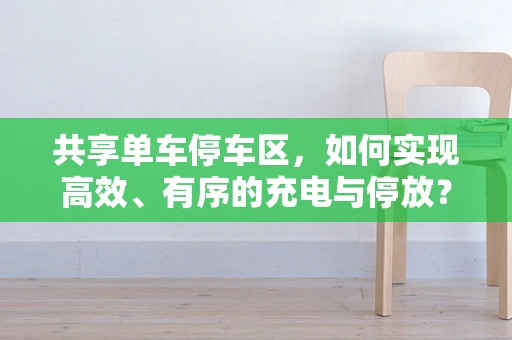 共享单车停车区，如何实现高效、有序的充电与停放？