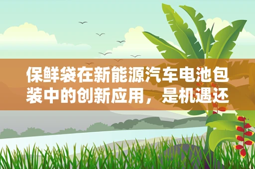 保鲜袋在新能源汽车电池包装中的创新应用，是机遇还是挑战？