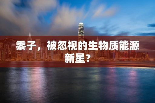 黍子，被忽视的生物质能源新星？