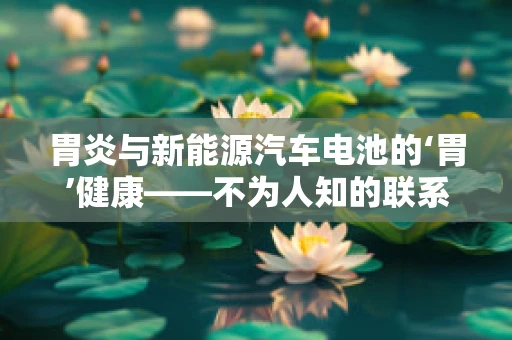 胃炎与新能源汽车电池的‘胃’健康——不为人知的联系？