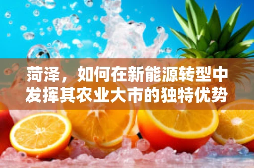 菏泽，如何在新能源转型中发挥其农业大市的独特优势？